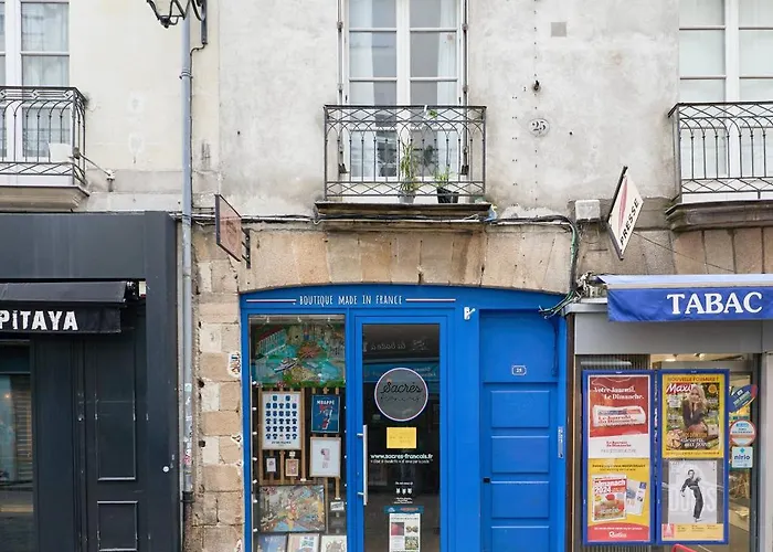 La Loge Des Carmes -coeur De Wifi شقة نانت